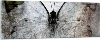 Produktbild von Bilder auf glas - Schmetterling Abstraktion - 90x30cm - Glasbilder - Wandbilder - Kunstdruck - zum Aufhängen bereit - Wanddekoration aus Glas - Glas Bilder - Wandbild auf Glas - GAB90x30-3679