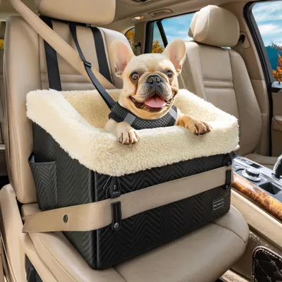 Image de Solidchoice - Siège pour chien pour voiture avec harnais de sécurité
