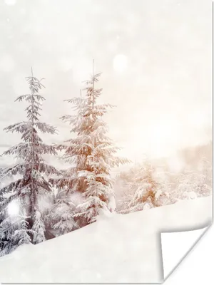 Produktbild von MuchoWow® Poster Baum - Schnee - Winter 120x160 cm - Wandbilder