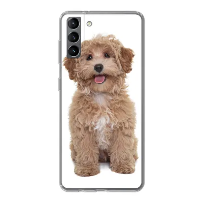 Produktbild von MuchoWow® Handyhülle Schutzhülle Hülle für Samsung Galaxy S21 Plus Hund - Haustiere - Fell Silikon Softcase Handy Hülle - Handy-Tasche