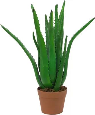 Immagine prodotto di EUROPALMS Pianta di Aloe Vera, pianta artificiale, 63 cm