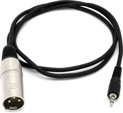 Image de câble adaptateur de 1 m mini jack stéréo 3,5 mm vers XLR mâle