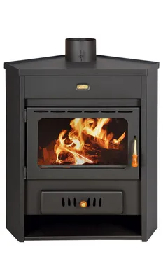 A black wood-burning stove with a glass door showing a fire inside.