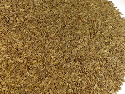 Produktbild von Dillsaat ganz Naturideen® 100g