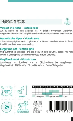 Produktbild von Samen - Vergißmeinnicht 'VICTORIA ROSE'