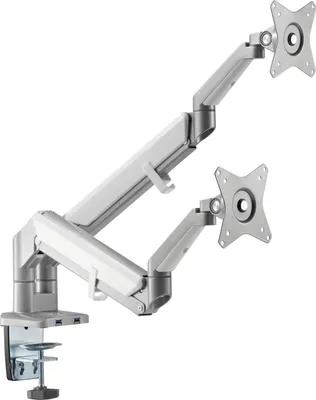 Immagine prodotto di Braccio AlzaErgo D225S salvaspazio USB argento