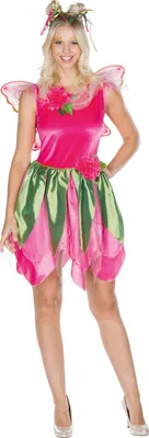 Produktbild von Waldfee Kleid mit Flügeln, Groesse:36
