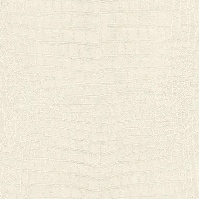 Zdjęcie produktu dla Tapeta flizelinowa 751321 zwierzęta 53 x 1005 cm Rasch African Queen III biały
