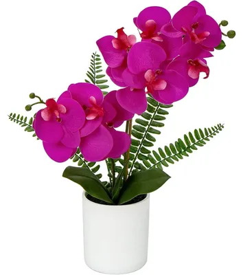 Immagine prodotto di Orchidea Phalaenopsis artificiale, decorata in un vaso in Vetroceramica, altezza 40,5 cm, disponibile nei colori bianco, rosa e viola