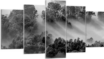 Produktbild von Bild auf Leinwand - Leinwandbild - 5 Teile - Schwarzweiß Bäume Nebel - 160x85cm - Wand Bild - Wanddeko - Wandbilder - Leinwanddruck - Bilder - Wanddekoration - Leinwand bilder - EA160x85-4510