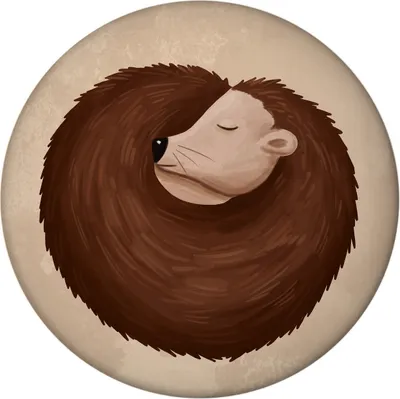 Produktbild von Igel im Winterschlaf Magnet rund