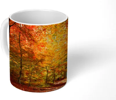 Produktbild von MuchoWow® Tasse Kaffeetasse Kaffeebecher 350 ml Ein Orangenbuchenwald Teetasse - Fototasse - Becher - Keramikbecher - Teebecher - Kaffeetasse - Bürotasse