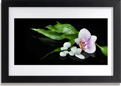 Produktbild von Bild 30x20 MDF-Rahmen Wandkunst Blumen Steine ​​Blätter