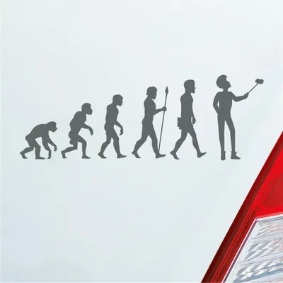 Produktbild von Auto Aufkleber Evolution Selfie Stick Handy Entwicklung Darwin 19x6,7 cm Grau Sticker Heckscheibenaufkleber