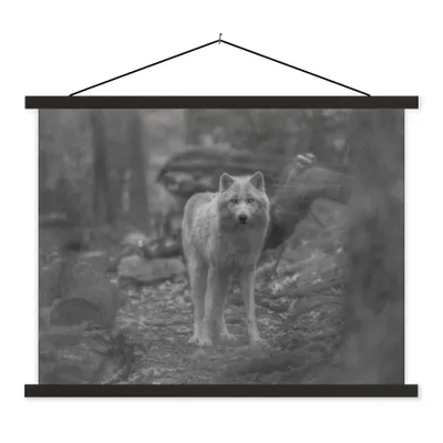 Produktbild von MuchoWow® Textilposter Weißer Wolf im Wald in Schwarz und Weiß 120x90 cm mit schwarzem Rahmen - Aufhänger für Poster