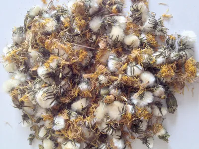 Produktbild von HUGRO® Nagertraum Löwenzahnblüten 120 g, getrocknet, Einzelfutter