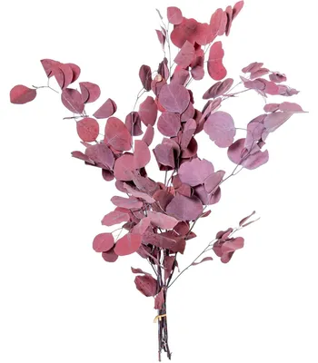 Eukalyptusblätter-Set, 6 Stück, konserviert, Bordeaux, 80 cm