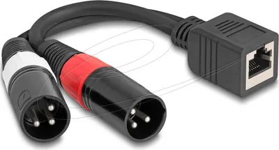 Obrázok produktu pre DeLOCK 88179, RJ-45, Samica, 2 x XLR (3-pin), Samec, 0,2 m, Čierna