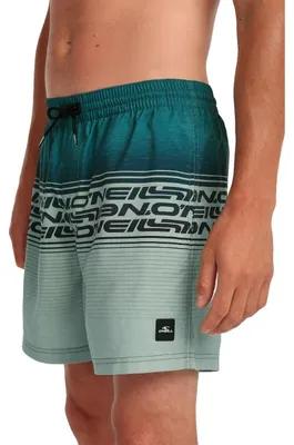 Produktbild von ONEILL WT O'NEILL LOGO STRIPE 16'' Badeshorts Herren Grün Heritage Stripe XL
