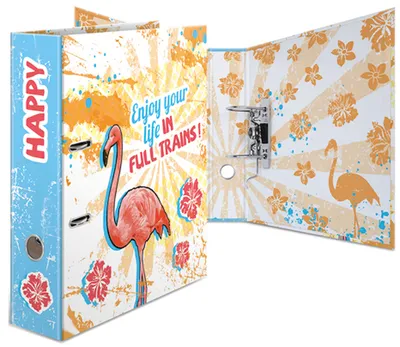 Obrázek produktu pro HERMA 7024, A4, Karton, Vícebarevný, 7 cm, 285 mm, 315 mm