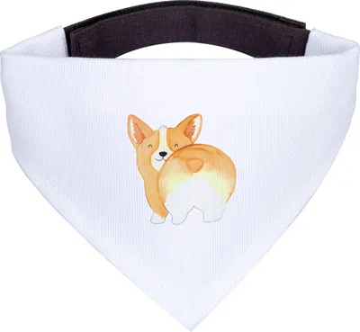 Produktbild von Mr. & Mrs. Panda Halstuch Hund Corgi Po - Weiß - Geschenk, Hunde-Halstuch, Schal für Hunde, Süß, Corgie, Tuch, Motivation, Sprüche