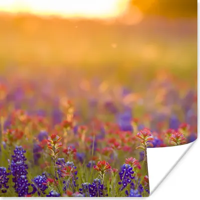 Produktbild von MuchoWow® Poster Blumen - Gold - Sonne 100x100 cm - Babyzimmer