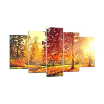 Produktbild von Bilder auf glas - Park Herbst Baum - 160x85cm - Glasbilder - Wandbilder - Kunstdruck - zum Aufhängen bereit - Wanddekoration aus Glas - Glas Bilder - Wandbild auf Glas - 5 Teile - GEA160x85-3654