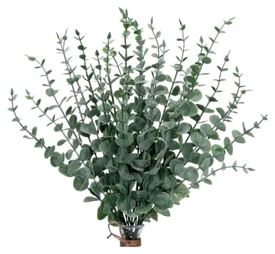 Produktbild von 30 Stück Künstliche Eukalyptusblätter für Dekoration und Blumenarrangements