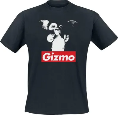 Productafbeelding van Gremlins T-shirt voor heren, model Gizmo, zwart, maat XL