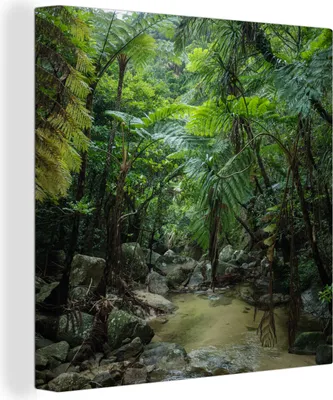 Produktbild von MuchoWow® - Leinwandbilder - Fluss im tropischen Dschungel, Wandbild, Wanddeko Bilder Wohnzimmer, 50x50 cm