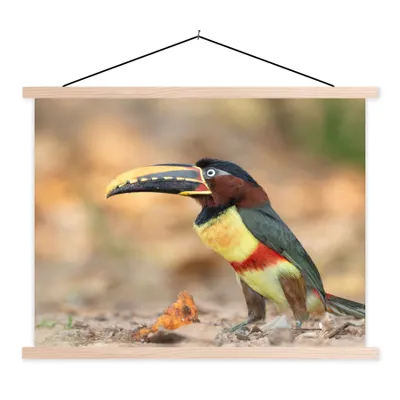 Produktbild von MuchoWow® Textilposter Vogel - Tukan - Federn - Natur 120x90 cm mit holzfarbenen Rahmen - Magnetisch