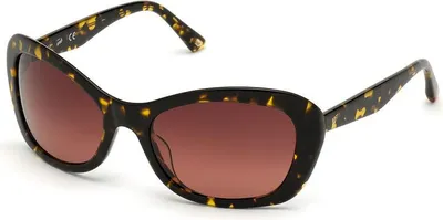 Produktbild von WEB SUNGLASSES Mod. WE0289 52F 56 19 130