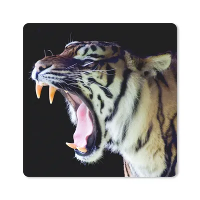 Produktbild von MuchoWow® Mauspad Mousepad Tiger - Zähne - Porträt 30x30 cm - Mousepads - Maus Mat - Pad - Mausunterlage - Gaming