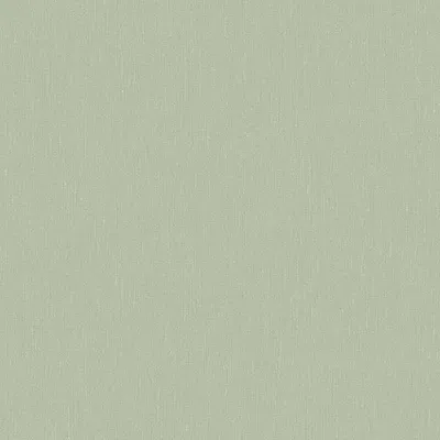 Immagine prodotto di Carta da parati Borastapeter a tinta unita verde - 660479 - 53 cm x 10,05 m