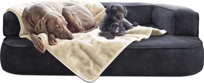 Produktbild von tierlando® Hundedecke LILLY Flauschige Haustier-, Welpen-, Katzen-, Plüschdecke - Größe: 100x75cm | Farbe: 05 Creme