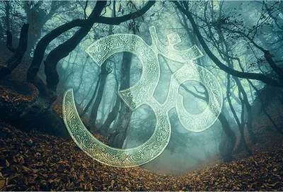 Produktbild von Tadessi Fototapete | Wald | 4.00 m x 2.70 m | Grün | Blau | Wandbild | Digitaldruck