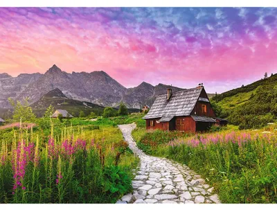 Zdjęcie produktu dla TREFL Puzzlehalle Gazienicowa 500 dks