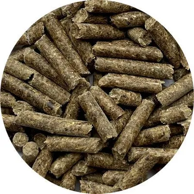 Produktbild von Biofeed Traditional Pellets Pferdefutter Ergänzungsfutter Pferd Magenfreundlich Für Verdauung Pferd Und Darmflora Pferd, 25 Kg