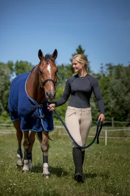 Produktbild von RIDING WORLD Djerba Reithose verschiedene Farben, Baumwollhosen, Farbe:weiß, Größe:Damengrößen 36