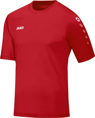 Produktbild von Trikot Team KA JAKO