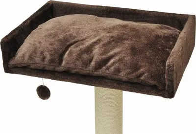 Produktbild von nanook Liegemulde rechteckig mit Kissen - braun - 60 cm