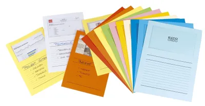 Immagine prodotto di Elco 29488.00 Cartelle Ordo classico - assortite, 120g, 100 pezzi, finestra e righe