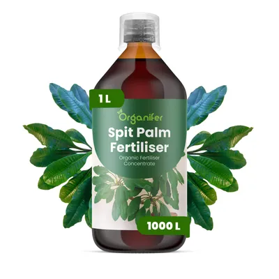 Produktbild von Spitpalmen Flüssigdünger 1L – 2-1-8 NPK – Flüssig-Pflanzendünger für Spitpalmen – Fördert kräftiges Wachstum & gesundes Blattwerk – Organifer