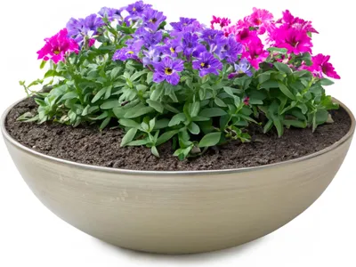 Image de Jardinière ronde ventrue de 25 cm pour l'extérieur, beige champagne