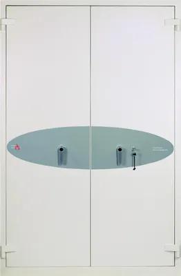Immagine prodotto di Phoenix Safe Dokumentenschrank FS1923K FIRE COMMANDER PRO (Speditionsversand)