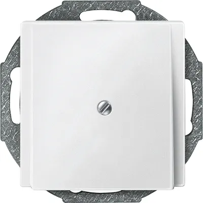 Produktbild von MERTEN 295619 - Weiß - Thermoplast - Jede Marke - 1 Stück(e)