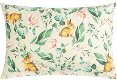 Obrázok produktu pre Bavlnenný vankúš - 40x60 cm - béžový