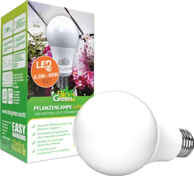 Zdjęcie produktu dla Żarówka zamienna BioGreen LED do lampy do roślin Flora-Booster500 6,5 W, Ø 6 cm, biała