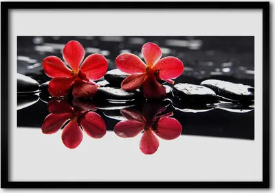 Produktbild von Bild 100x70 MDF-Rahmen Wandkunst Stein Blume Pflanze