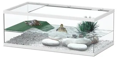 Productafbeelding van TerrAtlantis Schildpadbak Tortum 55 wit 55x29x20 cm met plateau en afdekking